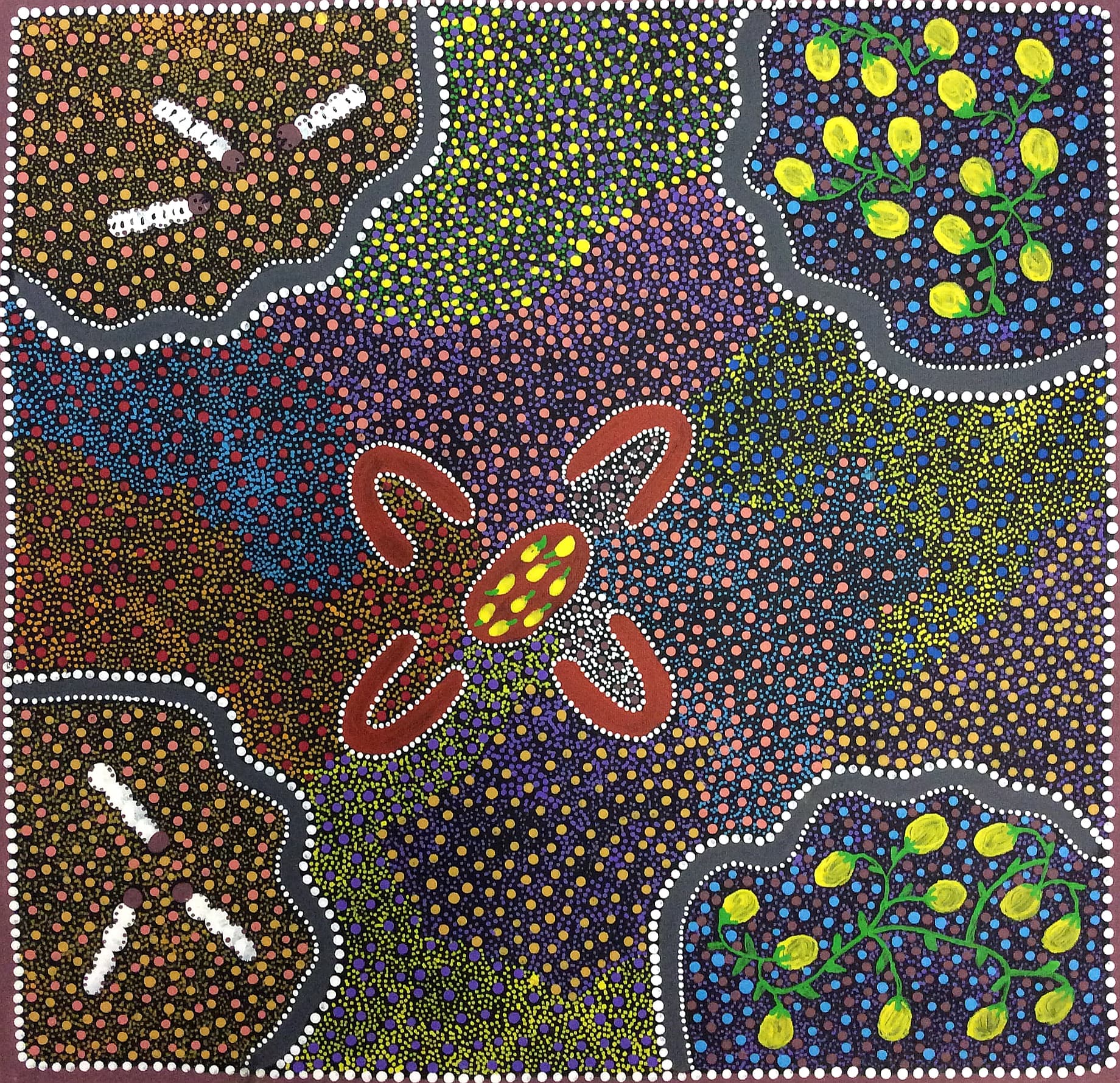 Women collecting bush tucker