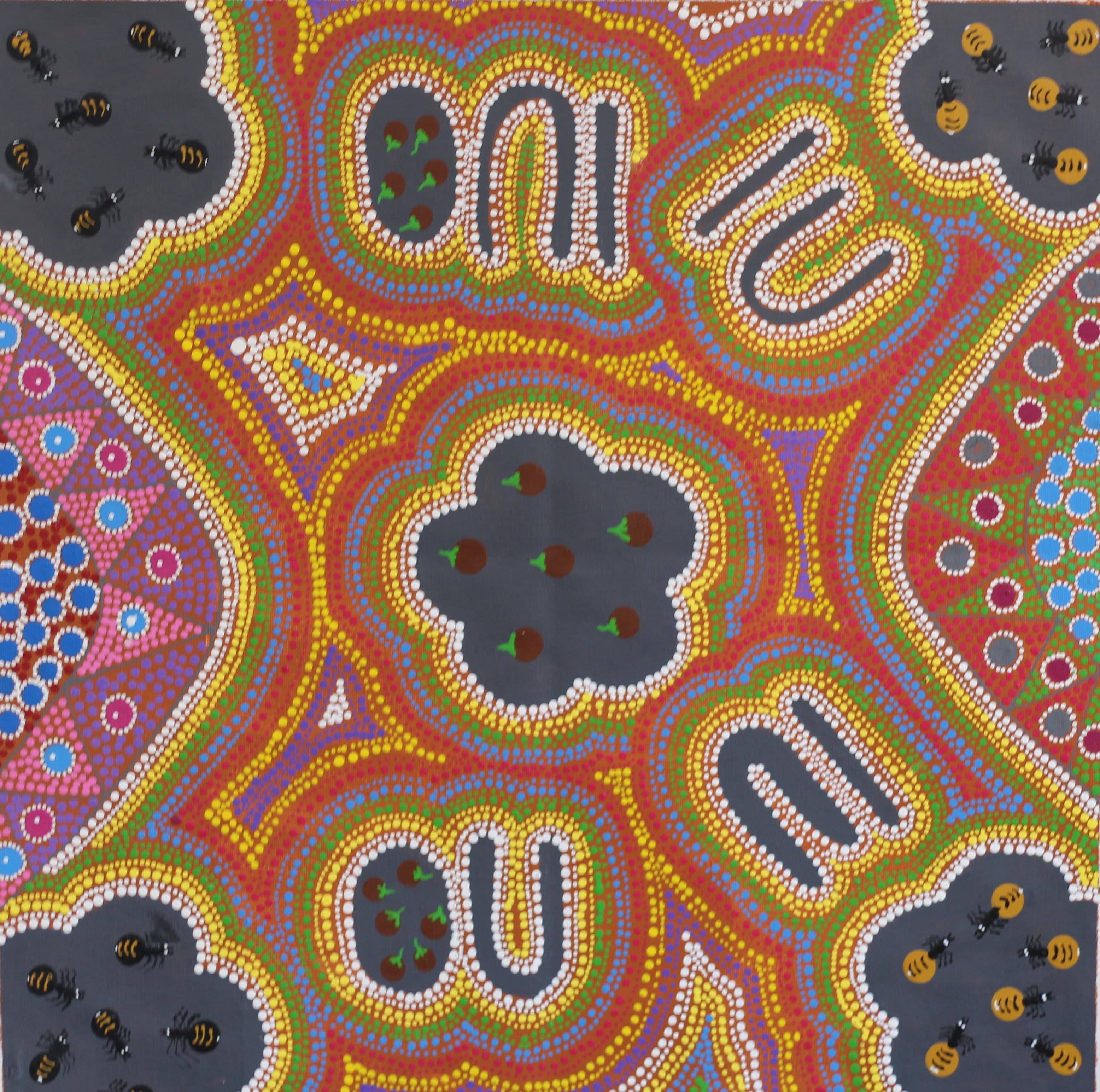 Gathering Bush Tucker