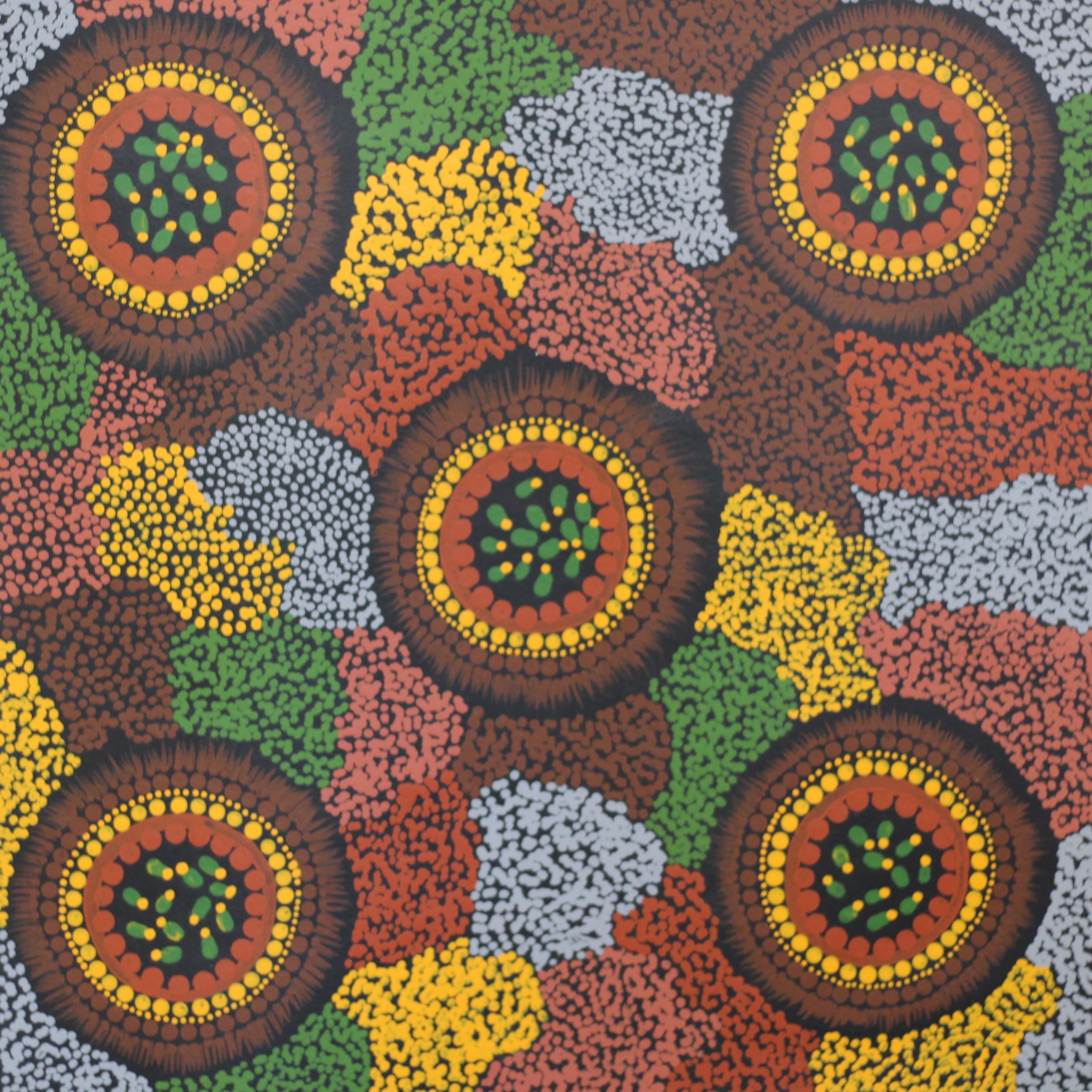 Bush seeds used in damper