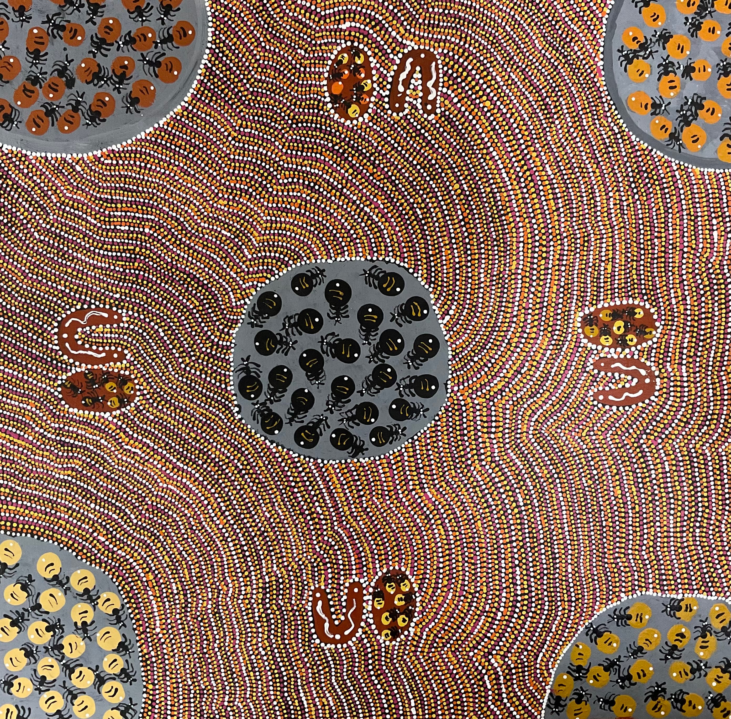 Women Gathering Honey Ants