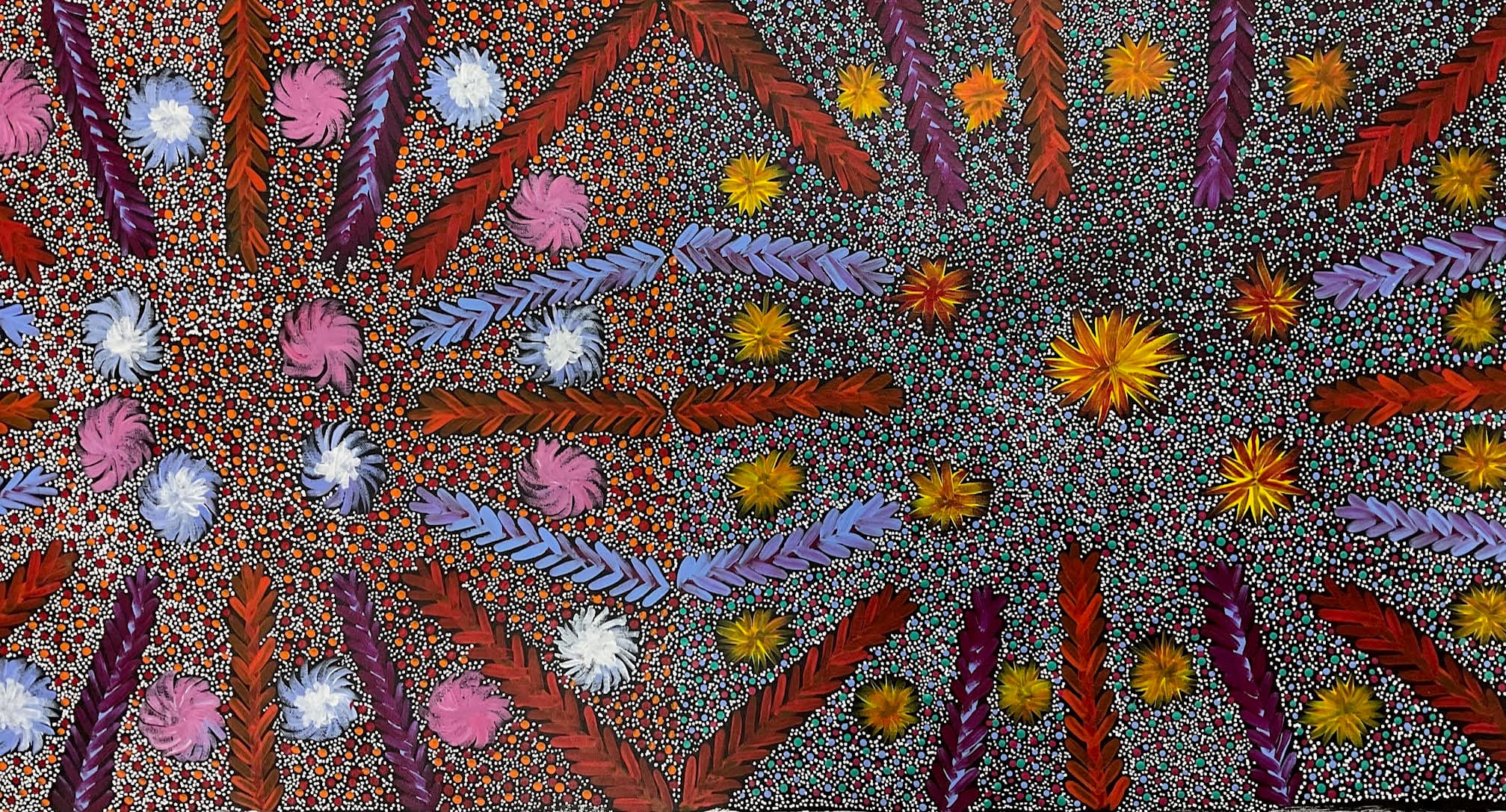 Bush Medicine plants