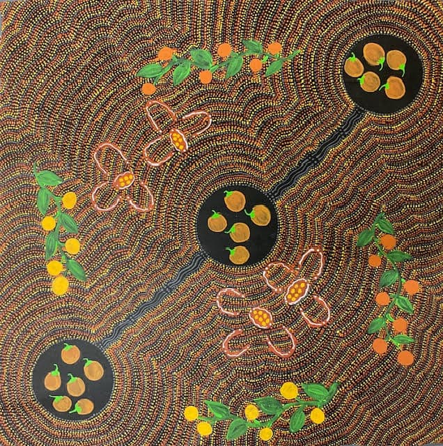 Women collecting bush Tomatoes