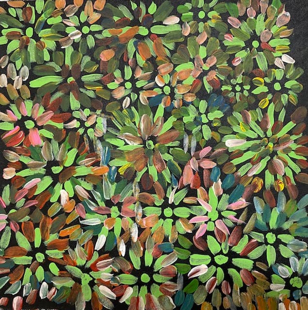 Bush Medicine Leaves