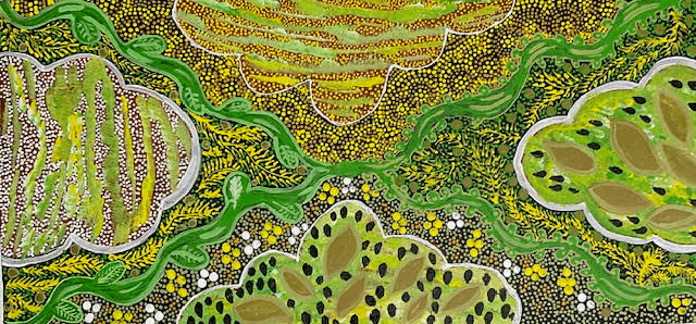 Bush Medicine Green Leaves and Dry Leaves