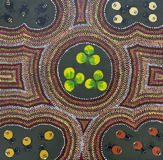 Hunting For Bush Food