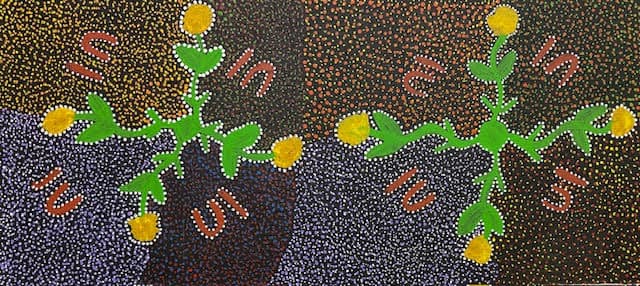 Women harvesting bush tomatoes