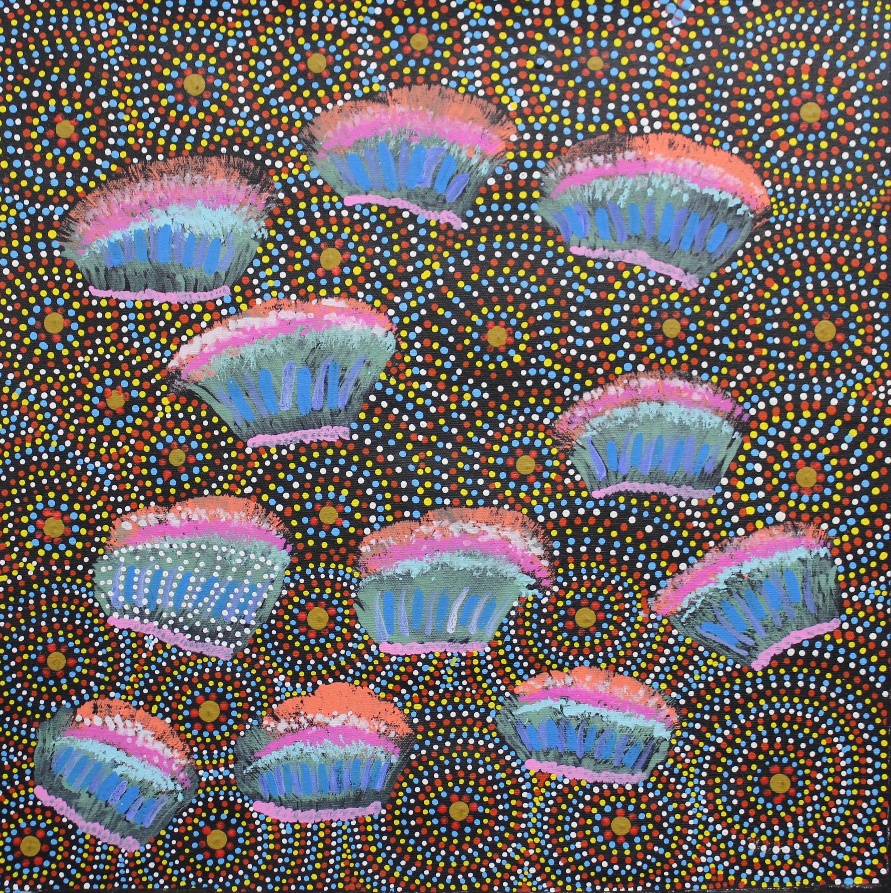 Native Flowers found on Country