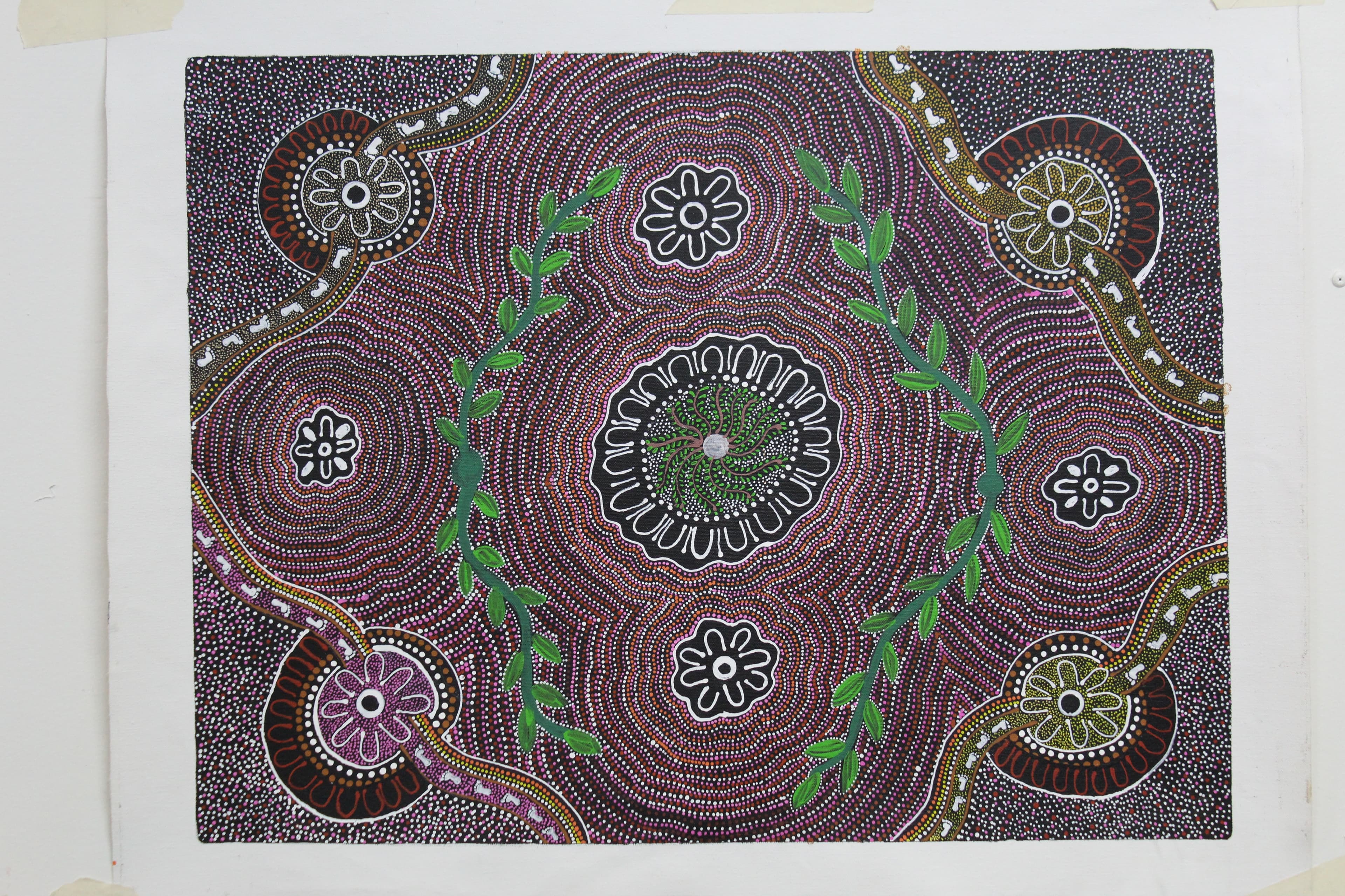 Women Collecting Bush Medicine