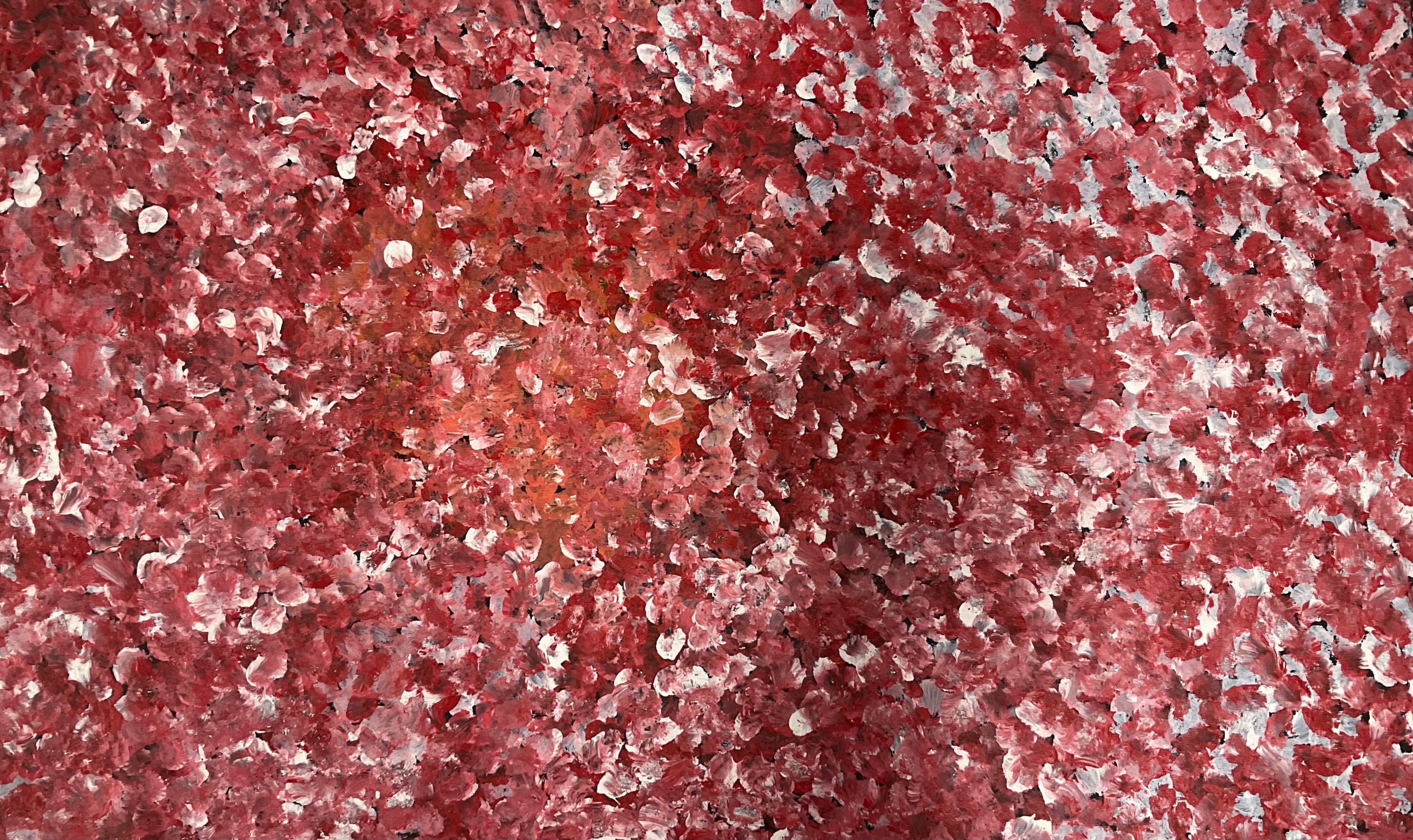 Bush Flowers in the local area