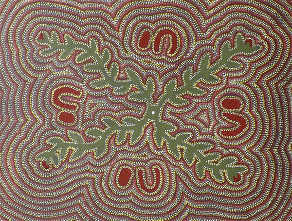 Saltbush (ntjamanya)