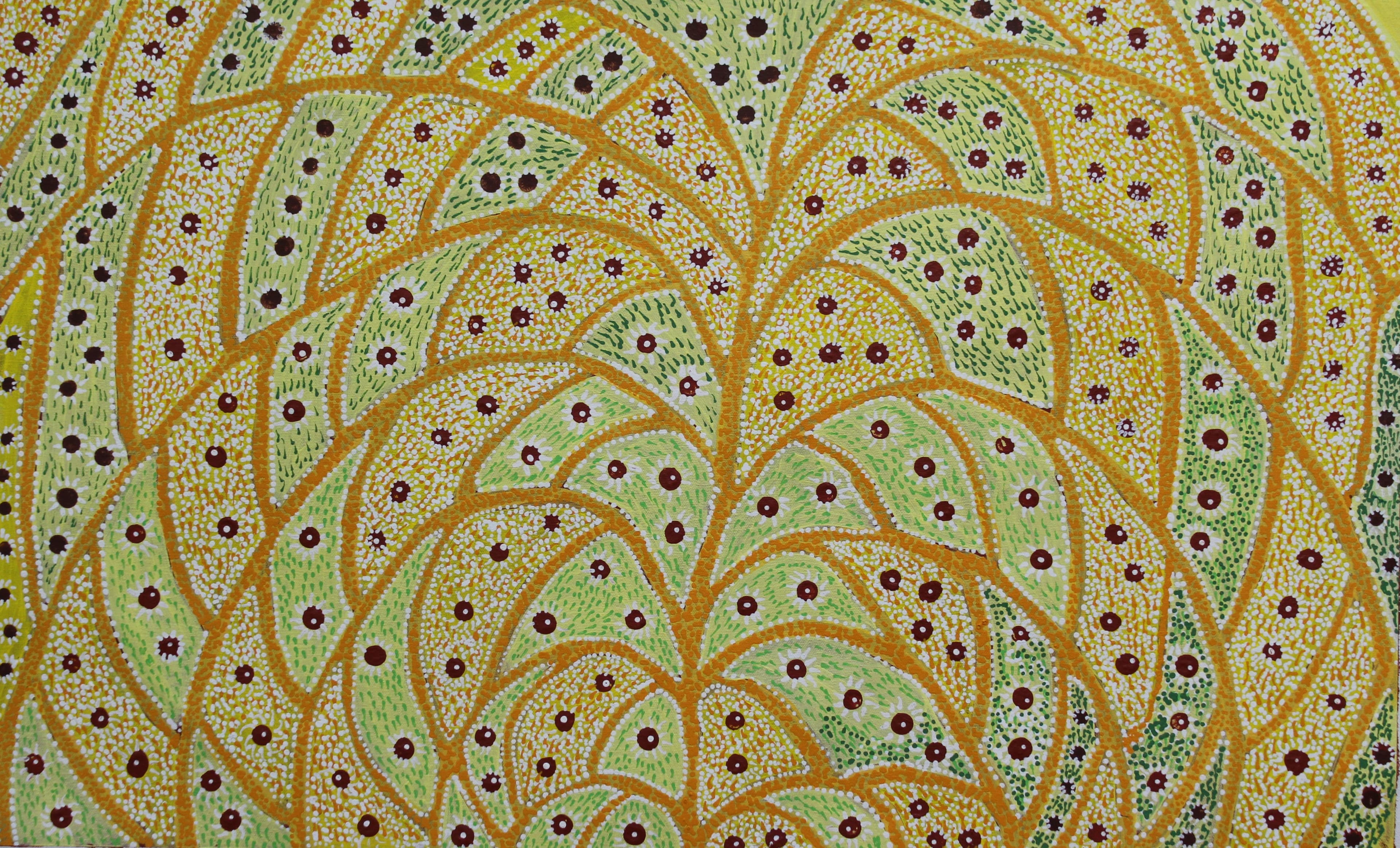 Bush Medicine Leaves