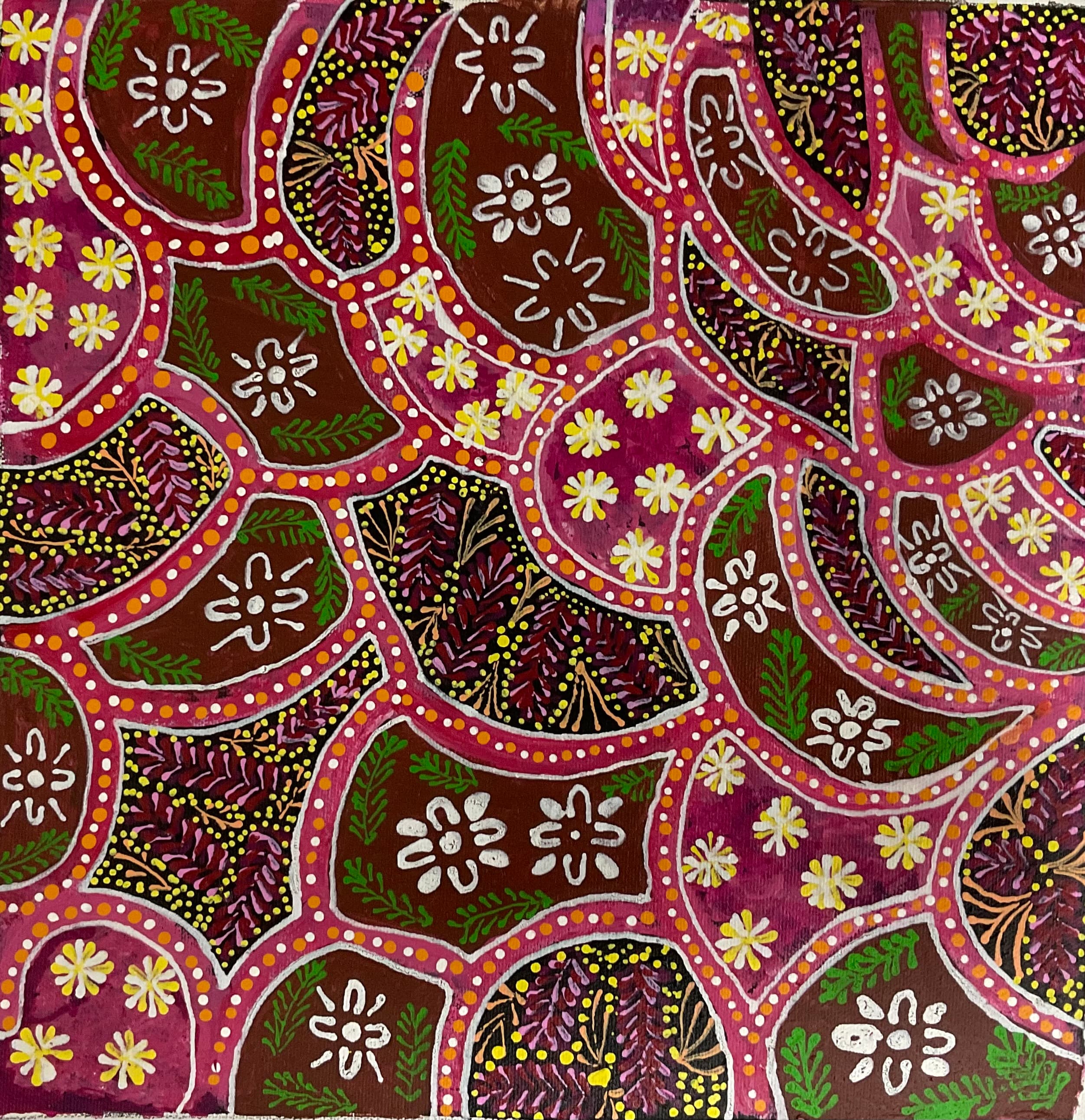 Women Collecting Bush Medicine